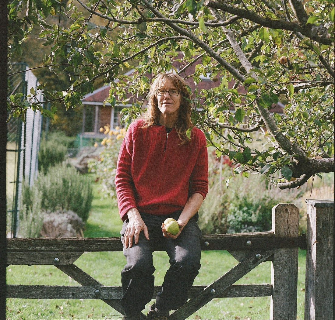 Reflecting on the 2025 Shipton Mill apple harvest, by Ruth Quinlan