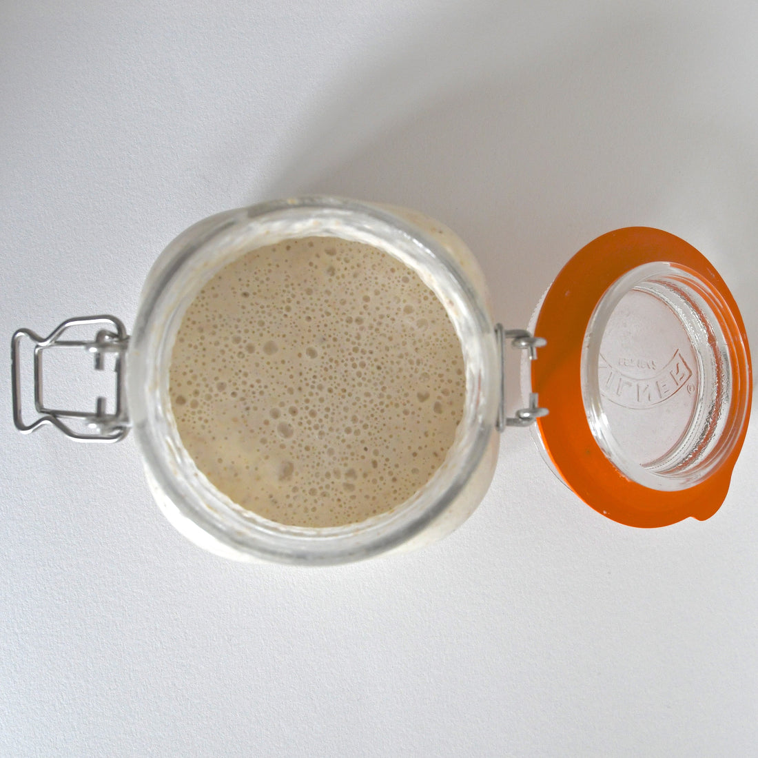 Sourdough Starter Recipe