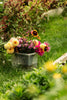 Shipton Mill course 24/06/2026 Garden Open Day 24th June